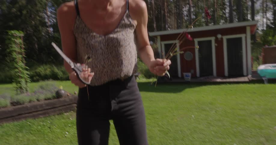 Woman cutting rose flower from a flower pot in a backyard