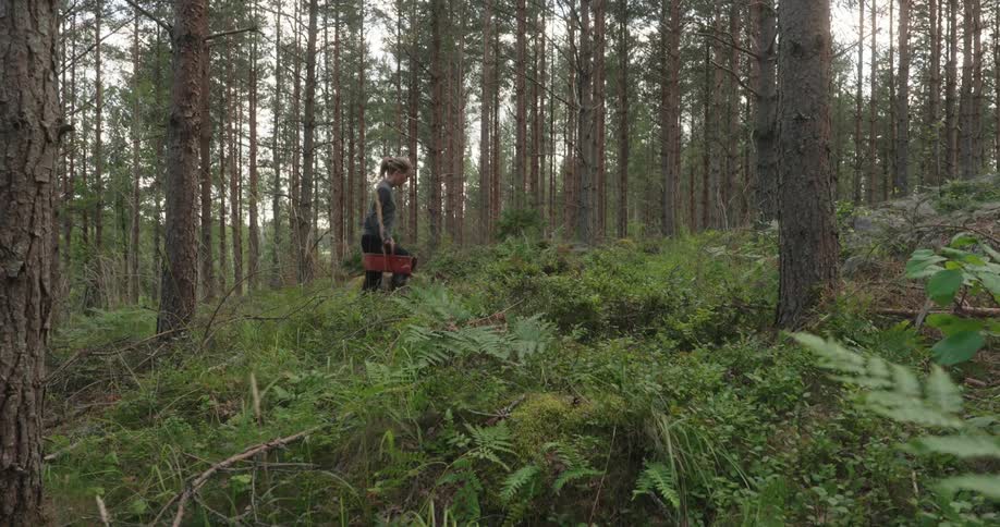 A woman is walking in a forest with several trees and she is carrying an orange box in her hand