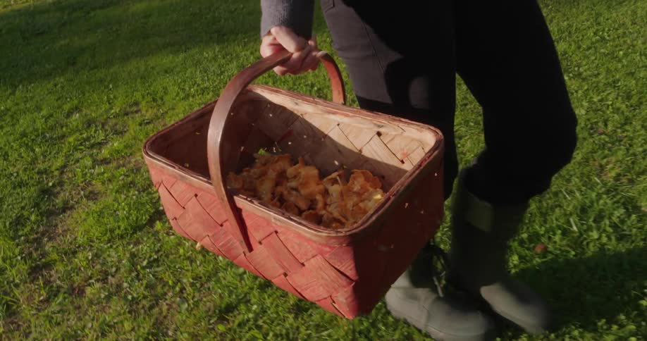A closeup view of a persons side holding a brown wicker basket filled with freshly harvested mushrooms