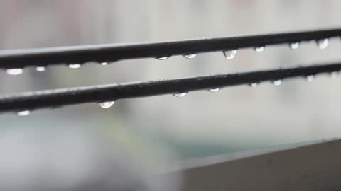Water drops fall off a wire