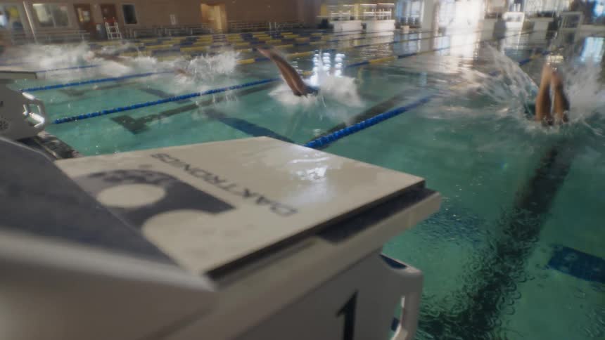 Swimmers dive into the pool