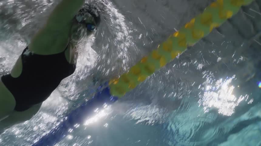 A swimmer races in the pool