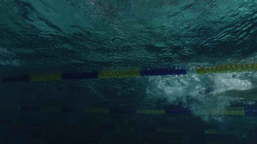 Swimmers in action in the pool