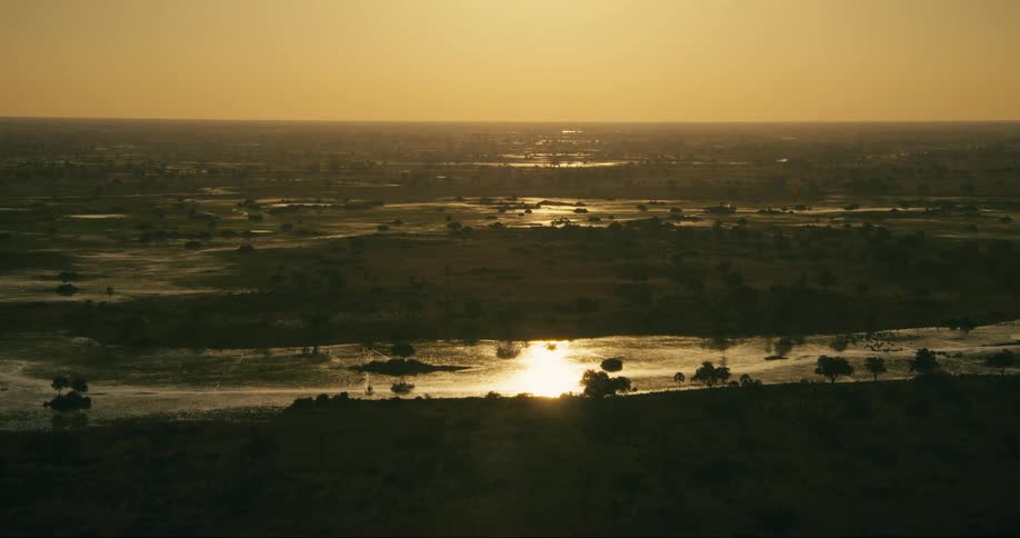 A landscape of a swamp with a river reflecting the morning sunlight