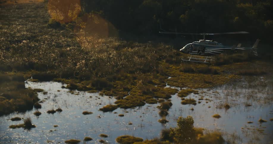 A helicopter flying low over a swampy area at sunset
