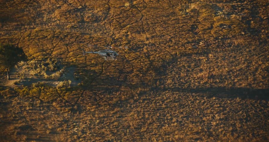 Aerial view of a helicopter flying above a jungle