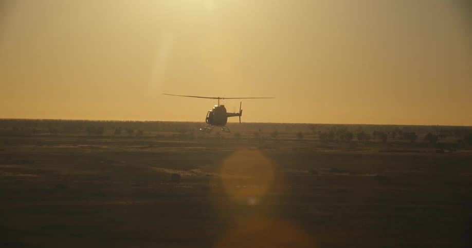 A helicopter flies over a vast plain dotted with trees