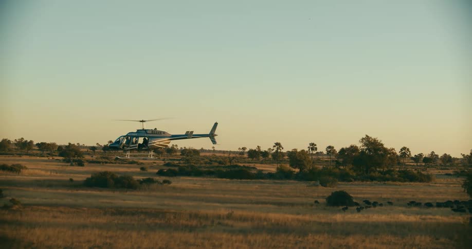 Helicopter in flight over a grassy field with sparse trees illuminated by the warm light of sunrise