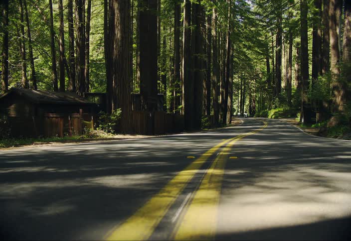 People riding motorcycles through the forest