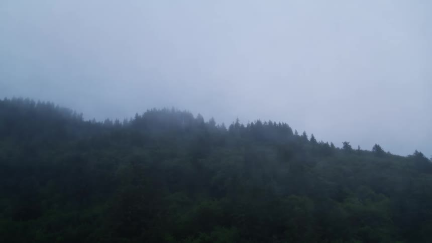 Landscape of mountains with forests on a foggy day