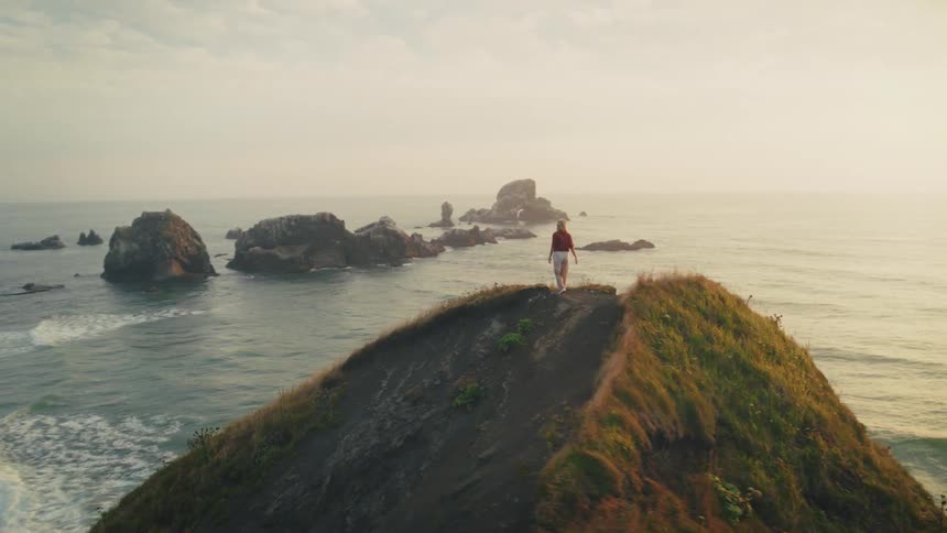 A woman is watching the ocean from a hill on the shore
