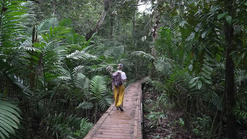 A backpacker walking on a wooden path across a forest