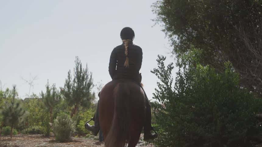 A young woman riding a horse in a field