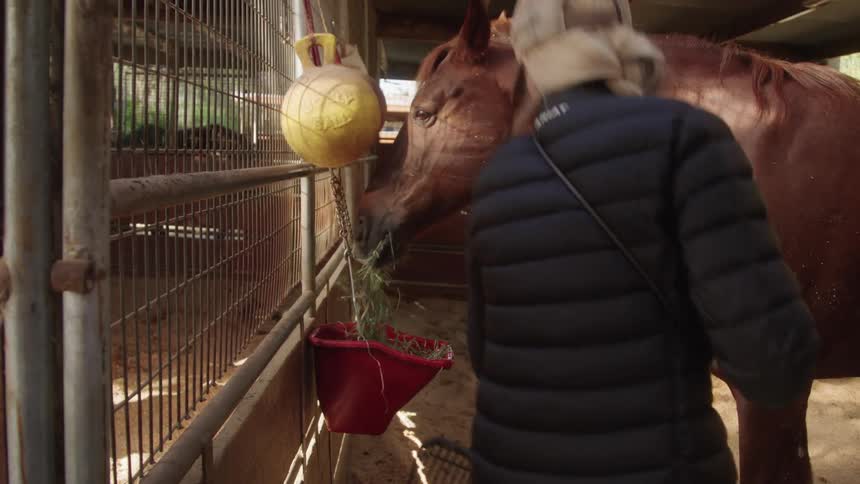 Horse eating grass and a ranch and a woman with a rake cleaning around