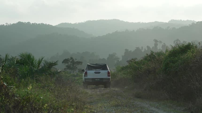 Pickup truck passing through a dirt road surrounded by vegetation and with mountains in the background