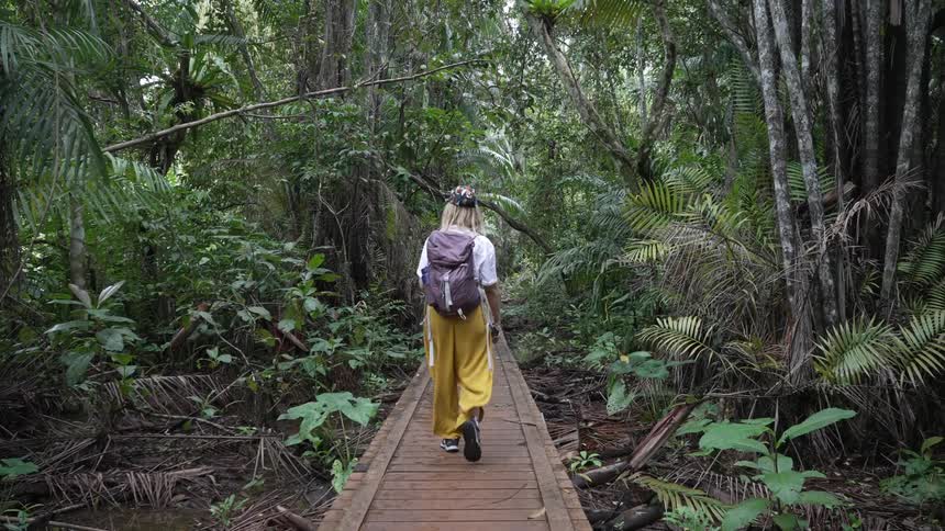 A woman walking on a wooden path across a forest