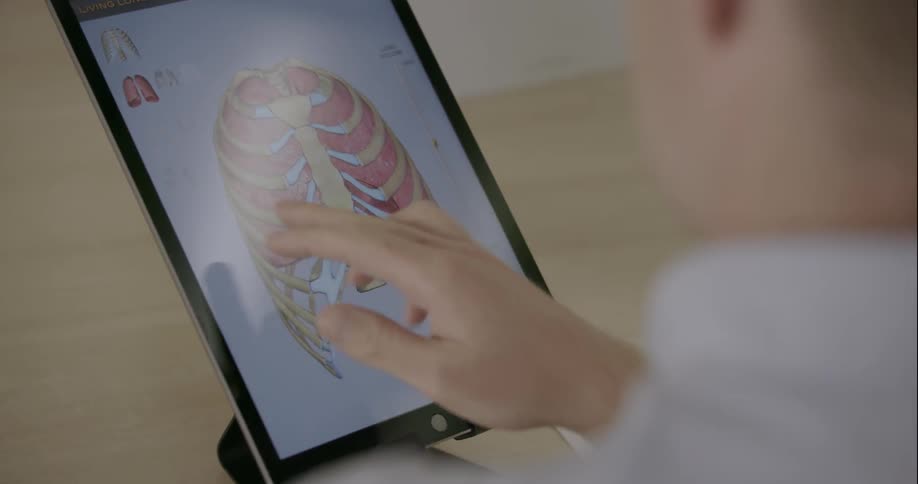 A person examines body organs on a tablet