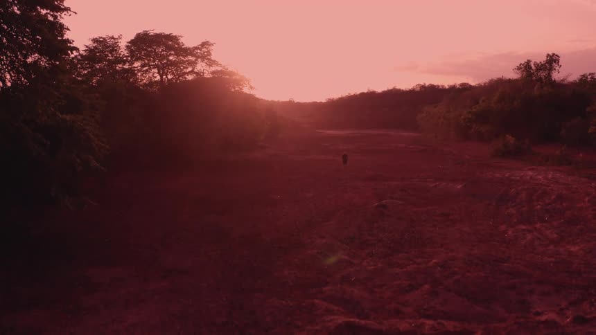 A hazy reddish sunset over a landscape of trees and a dusty field