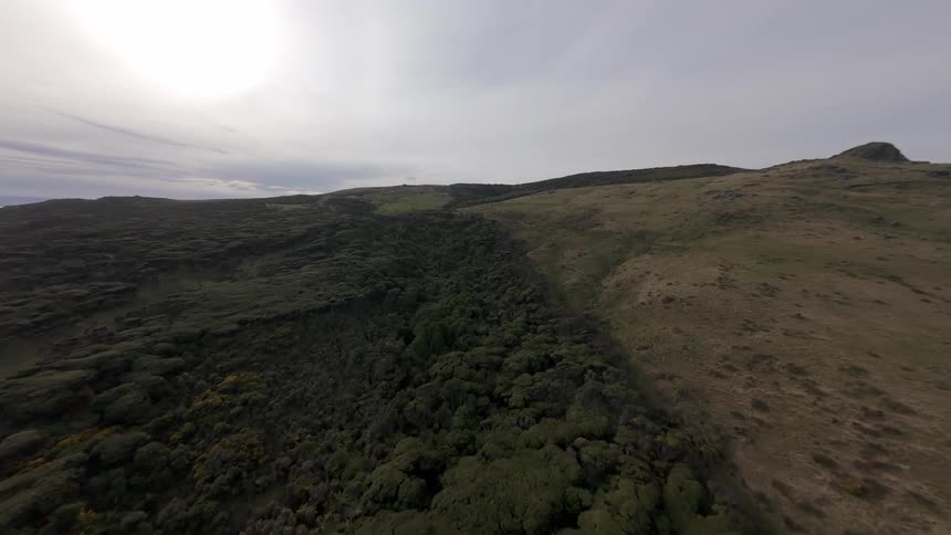 Aerial FPV panorama of hills and native forest on a calm day