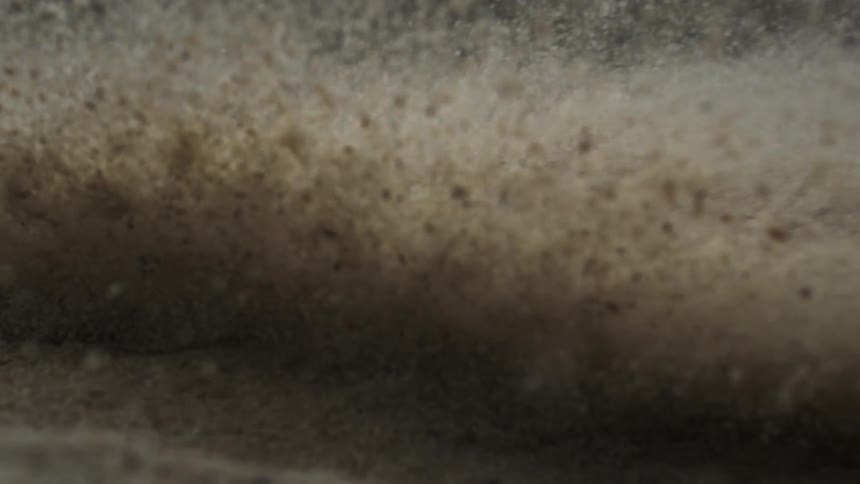Close up of a club hitting a golf ball into the sand