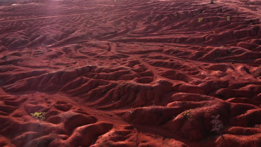 The sun is shining on the desert