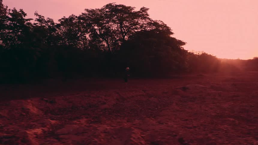 Person walking on brown ground surrounded by vegetation