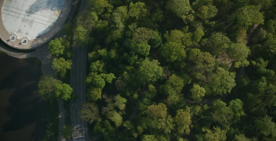 Tops of buildings and trees in town