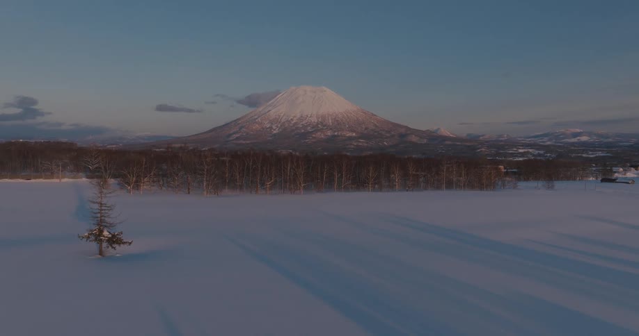 An aerial view shows a snow covered landscape with a solitary tree in the foreground and a snow capped mountainous volcano rising in the distance