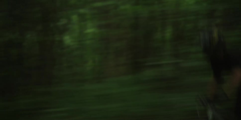 A man is racing downhill in the forest on a bicycle