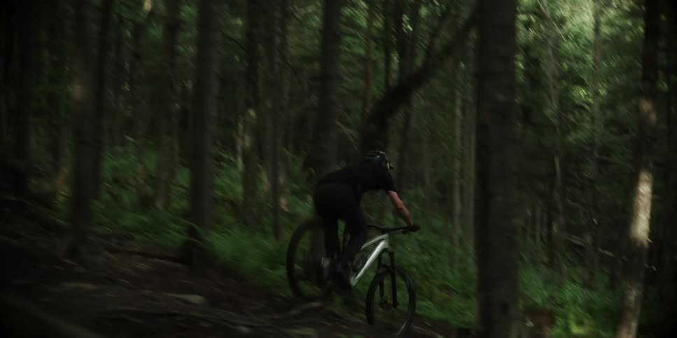 A mountain biker descending through a dense forest trail