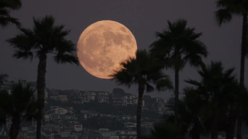 Landscape of an urban city and the moon rising on the horizon as the day fades