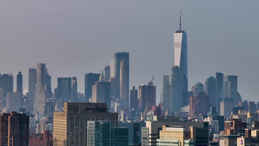 A bird flies by the skyline