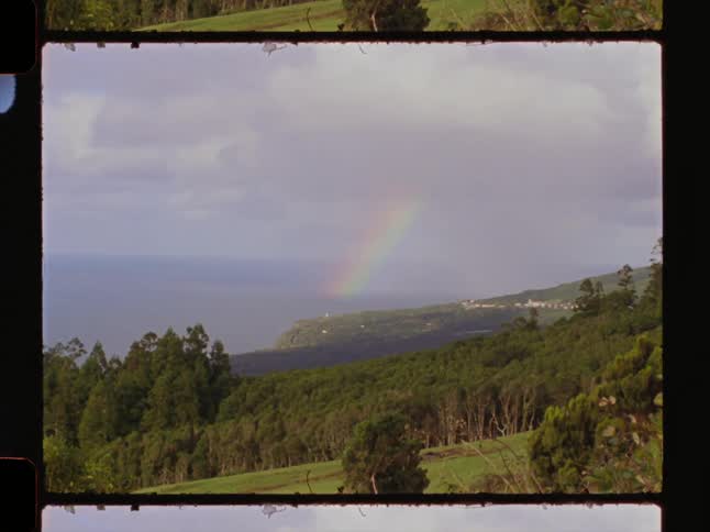 Landscape of a forest on a rocky slope by the sea and a rainbow in the background