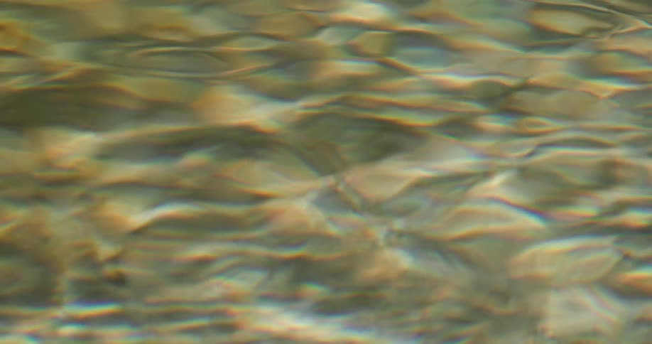 Clear waves roll over stones underneath them