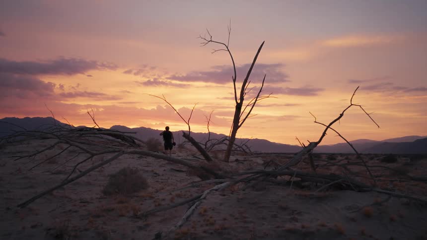 Silhouette of a person walking in a desert area with low vegetation against a purple sky