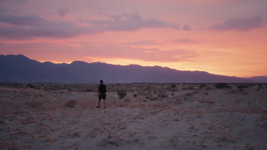 Person walking through a desert area with low vegetation and the silhouette of mountains on the horizon and a sky with shades of purple and pink