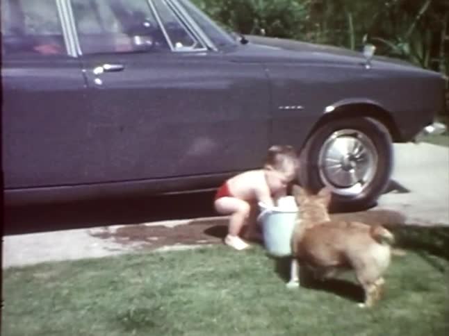 A little boy and his dog clean an old car