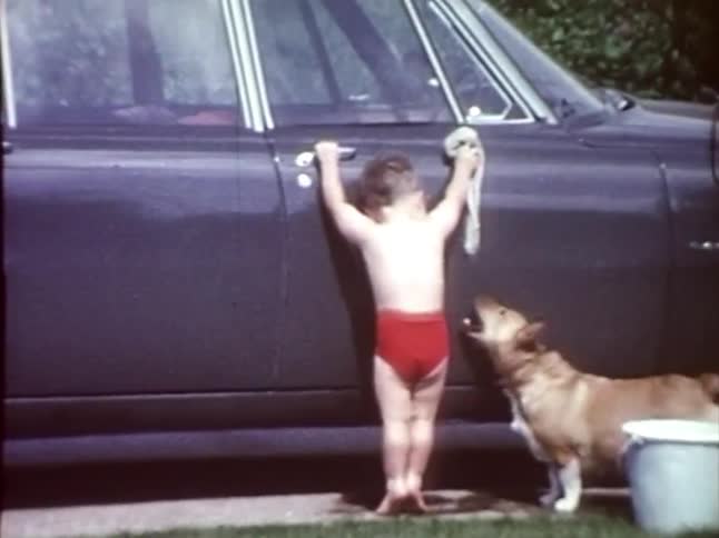 A toddler cleans a car while the dog drinks the drips