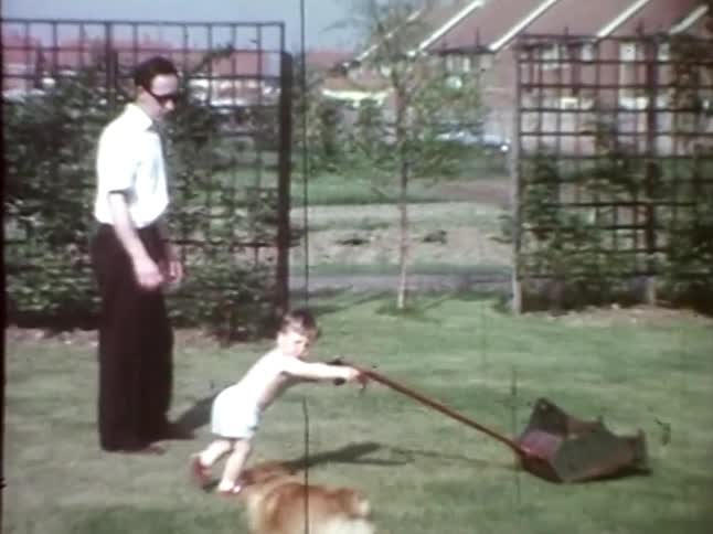 Toddler mows the lawn with dad