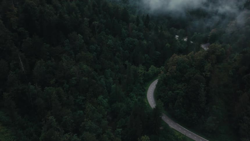 Aerial shot of a highway surrounded by forest and fog