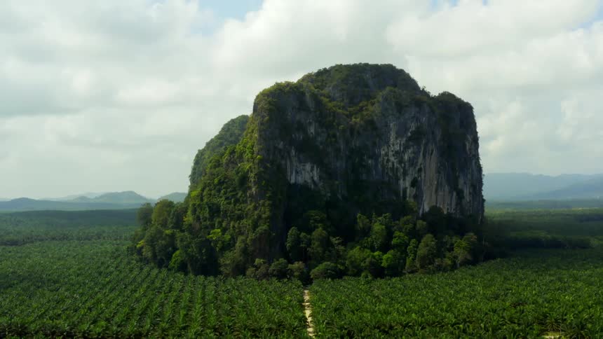 Aerial panorama of a mountain valley surrounded by vegetation
