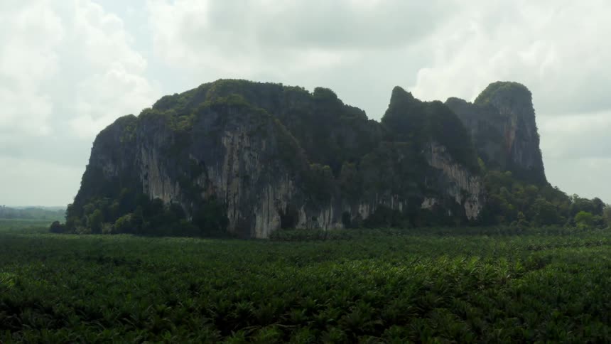 Landscape of a mountain valley surrounded by vegetation and forest on a cloudy day