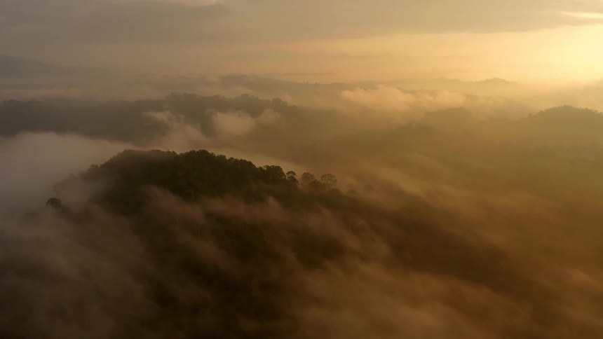 Aerial panorama of forested mountains with a sea of clouds and a golden sun on the horizon