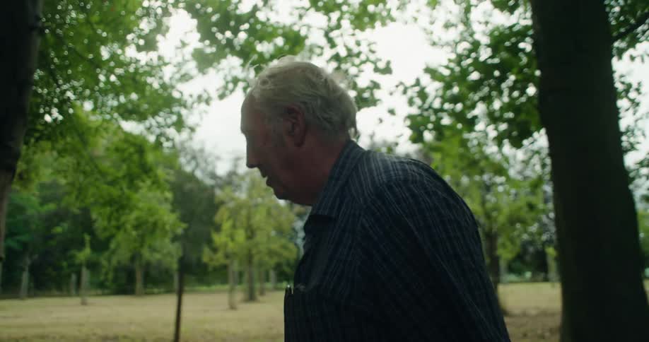 Profile of an elderly man walking along trees in a park at daytime