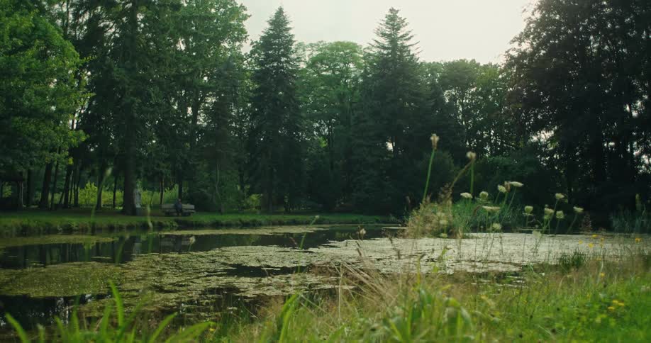 Tranquil pond surrounded by lush greenery and trees