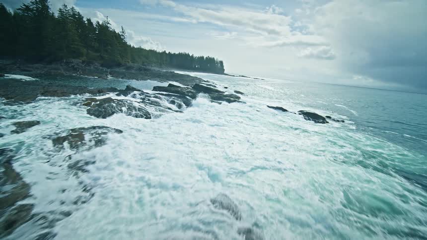 Aerial view of the sea with rocky coast and conifers on a cloudy day