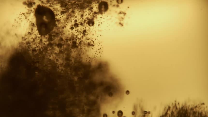 Dark bubbles forming in yellow liquid and moving fast after something drops inside
