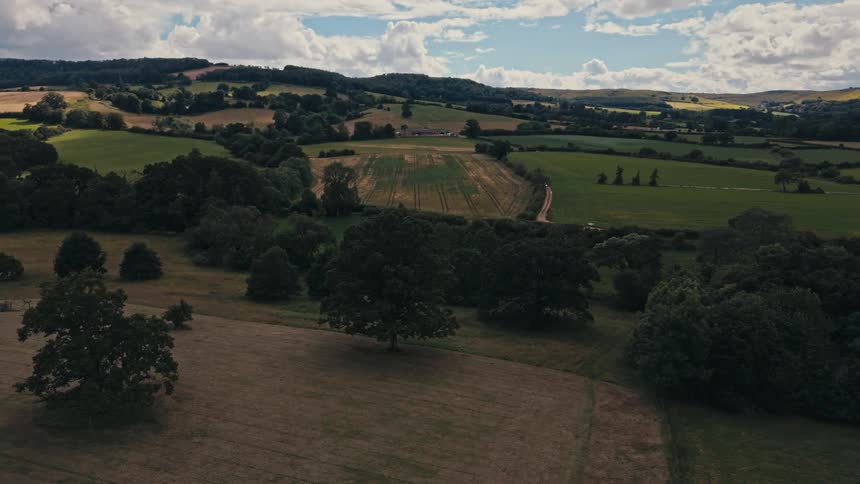 Farm fields and trees grow in a rural area