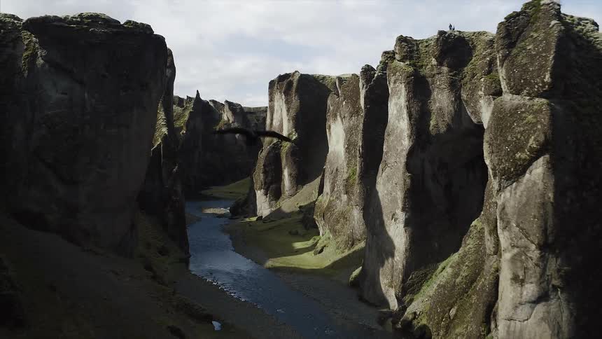 Bird flying over a cliff and a river