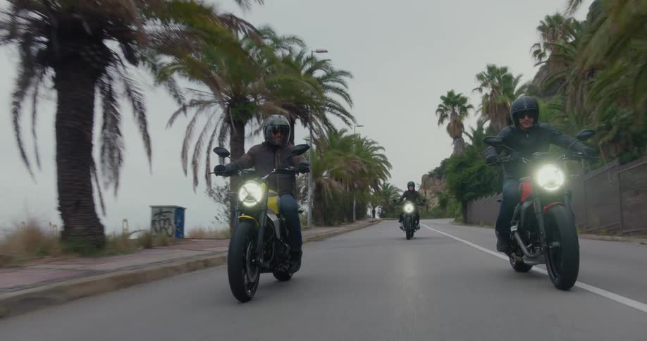 Three motorcyclists riding on a road lined with palm trees